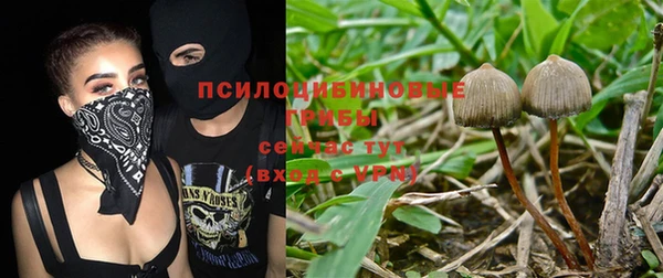 apvp Верхний Тагил