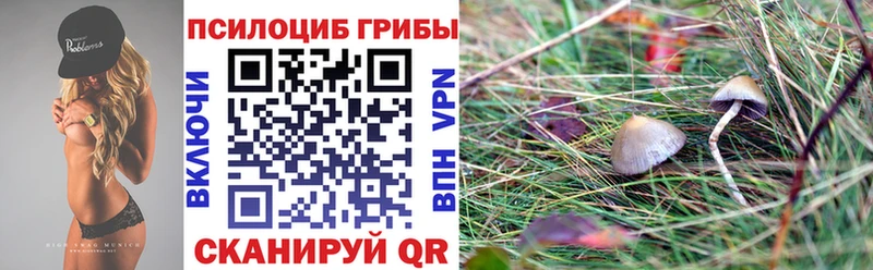 МЕГА онион  Туран  Галлюциногенные грибы Psilocybe  дарнет шоп 